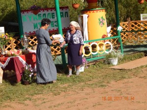 image (13)