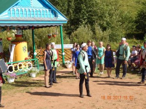 image (8)